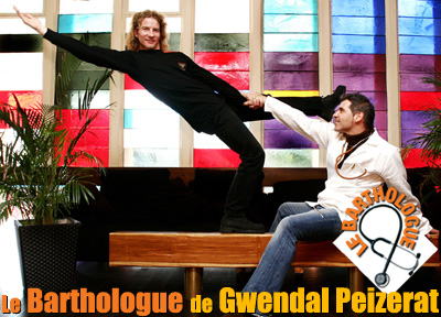 Le Barthologue de Gwendal Peizerat